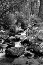 2015_08_Rollei_007.JPG