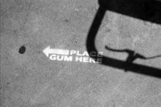 gum.jpg