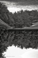 _EPS2258-Edit.jpg