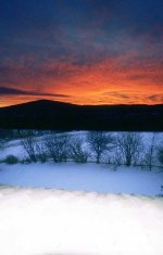 01-022.jpg