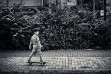 _EPS2315-Edit-2.jpg