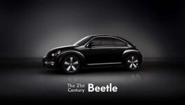 beetle.jpg