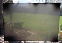 film 5x7.jpg