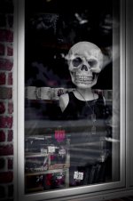 LR Processed Dead Skull in Window Portrait 2015_rff.jpg
