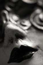 152919335_70fb795849.jpg