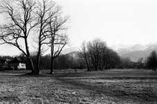 parkéstátra.jpg