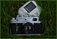 sized__DSC9993.JPG