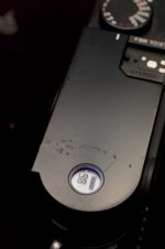L9992266.JPG
