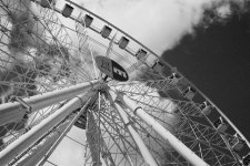 wheel_web.jpg