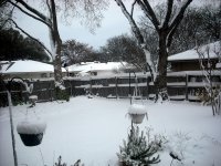 DSCF3238.JPG