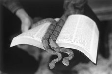 Faith 2 Serpents  65.jpg