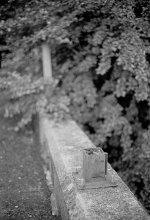 ds3001-rff.jpg