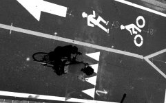 bikeweb.jpg