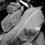 img104.jpg