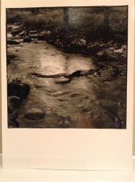 la foto5 (Medium).JPG