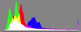 rd1histo.png