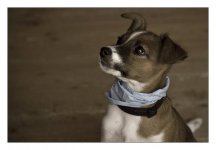chili (1 von 1).jpg