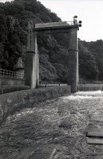 img160.jpg
