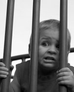 Hawk jail rff.jpg