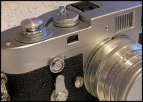 dw01.jpg