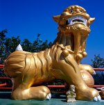 Lion033.jpg