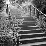 20120617001.jpg