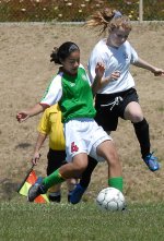 DSC_0271adj3.jpg