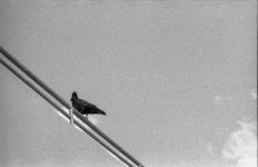 BW266_032.jpg
