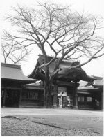 Scan21674-1.JPG