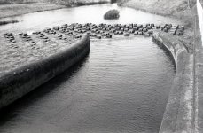 img168.jpg