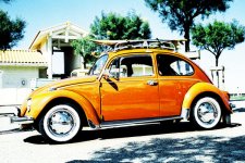 bettle.jpg