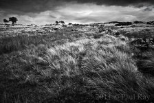 D0076508.jpg