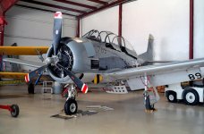 Petri C35 SD C41 CVS2 24 copy.jpg