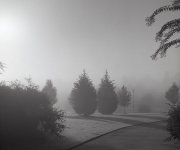 Foggy-fall-morning_600x500.jpg