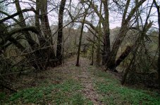 DSCF4799.jpg
