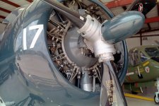 Petri C35 SD C41 CVS2 18 copy.jpg