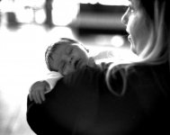 08003-17a.jpg