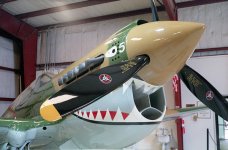 Petri C35 SD C41 CVS2 13 copy.jpg