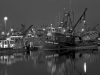 Alaskan-Rose-Night-Shot.jpg