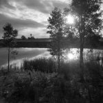 factory pond_img009b.jpg