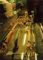 Ricoh GR1v Skeleton.jpg