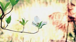 2018-05-15-0002ATCleanBCLevelsExposure.jpg