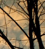 21mm_crop100.jpg