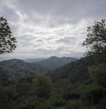 Img591.jpg