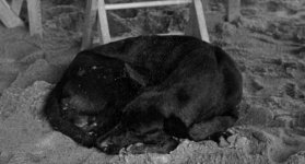 Screen Shot 2019-03-07 at 12.49.37 AM.jpg