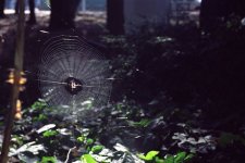 Img127.jpg