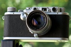 DSC_5840.jpg