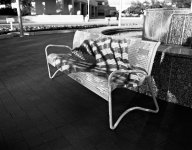 kenny-bench.jpg
