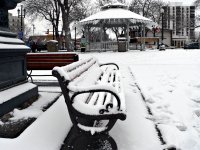 park bench.jpg