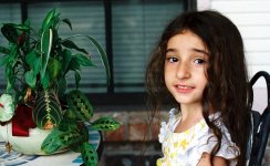 306248-R1-03-2 rff.jpg